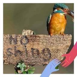 taxineil3's profile picture. Jesus's starting point was never sin,but human https://t.co/8NRxPEwrLT with the suffering in a compassionate manner and the sin generally sorts itself out.