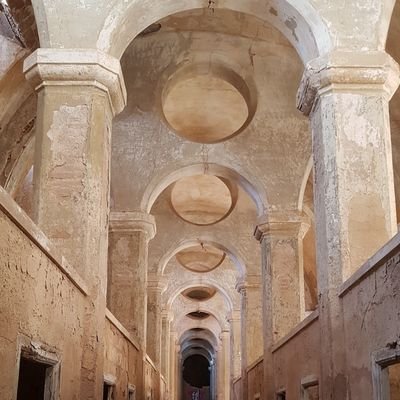 edilor1974's profile picture. 