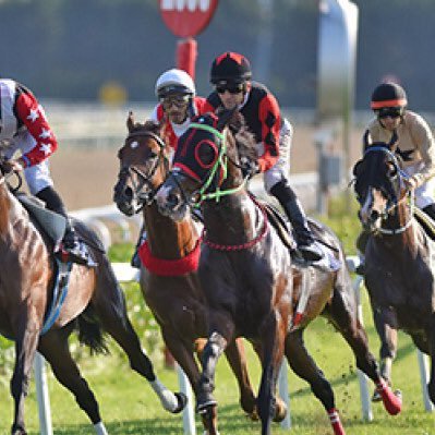 safdisii's profile picture. yarış sever. ganyan profesörü. altılı uzmanı. (tahminci)
