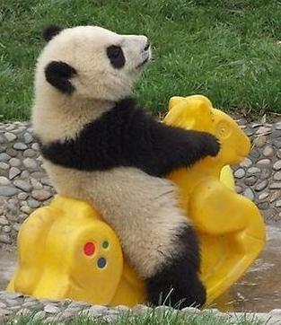 mw0518's profile picture. 팔사당 전용입니다.
84당 아니시면 팔로는 panda_ki 로 ㅎㅎ