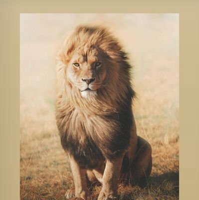 Kavin83060293's profile picture. 