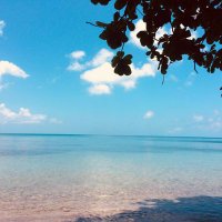 mariofdelg Bluesky: @mariofdelg.bsky.social (@mariodelg) 's Twitter Profile