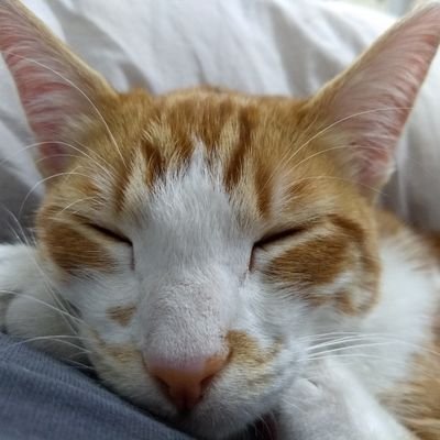 tochtli78871995's profile picture. 