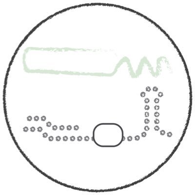 Researchers at this biennial conference explore the discovery and functional analyses of RNAs in microbes.