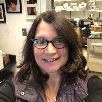 Orna Cohen-Fix (@ornacf) 's Twitter Profile Photo Orna Cohen-Fix (@ornacf) 's Twitter Profile Photo