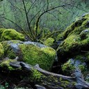 Gary Clawson - @gclaw17 - Twitter