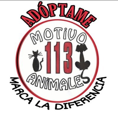 Somos una Asociación sin ánimo de lucro de #Valladolid que pretende ayudar a los animales buscandoles un hogar. Adopta, no compres! motivoanimales113@gmail.com