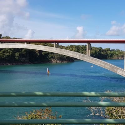 h_ibode's profile picture. La ploutocratie qui nous dirige ! fachos et sociaux-démocrates au service des milliardaires !