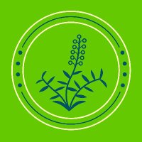 solacepharmacy (@solacepharmacy) 's Twitter Profile