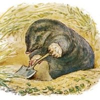 Diggory Delvet #RejoinEU (@bookwormturns) 's Twitter Profile