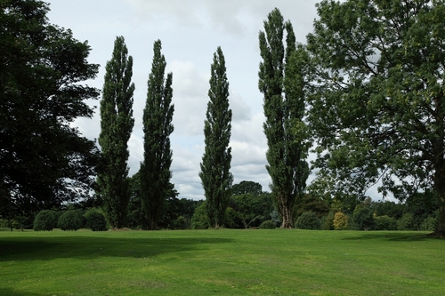 G2DerbyNews's profile picture. News and Features from Derby. Keep up to date with the important news stories including arts and culture news,business and developments