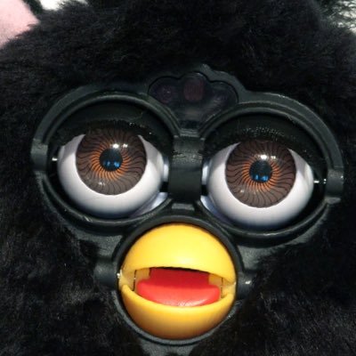 Segglettuce's profile picture. 