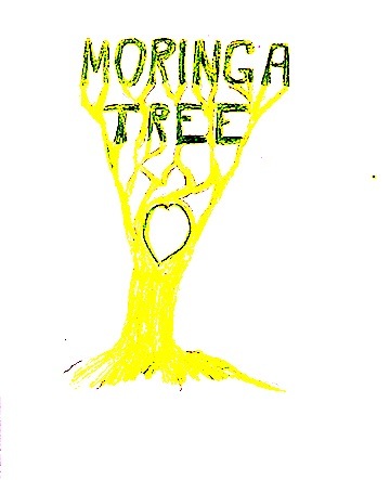 PLANT EAT LIVE !!!  Moringa Trees  !!!
Trees of Life ;)