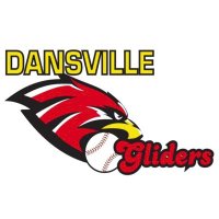 Dansville Gliders (@dansvilleglider) 's Twitter Profile