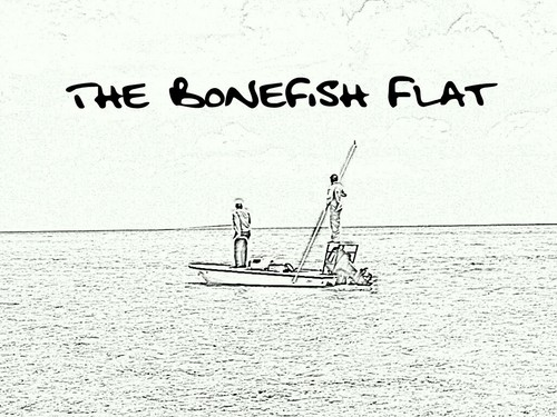 TheBonefishFlat Profile Picture