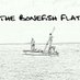 The Bonefish Flat (@TheBonefishFlat) Twitter profile photo