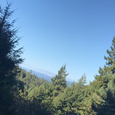 KorensteinLily's profile picture. 