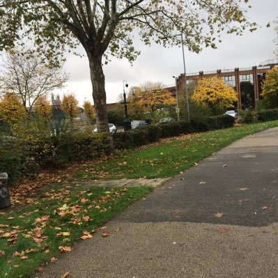 sardash40251271's profile picture. 