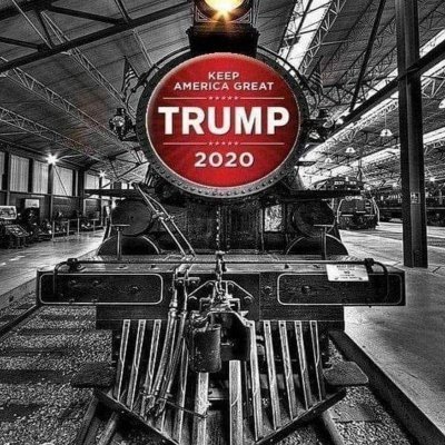 #Trump2024
I Follow all Patriots back
 Website on my profile is a FB Group I admin  
 