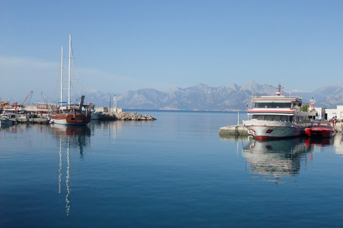 skr2580's profile picture. 