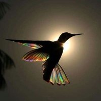 MARITZA BUSTOS2 (@maritzabustos2) 's Twitter Profile