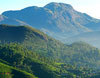 Munnar is a beautiful tourist place with tea plantations, hills, lakes, forests and winding walks.