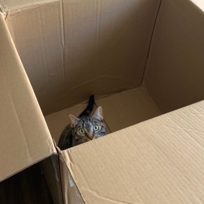 _itssarah_'s profile picture. 