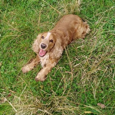 Masu_Ferro's profile picture. HIC ET NUNC