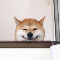 河流 (@yuanfangdejiaa) 's Twitter Profile