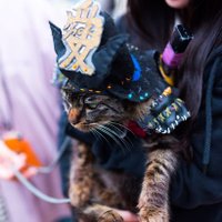 akatsuki (@e401notfound) 's Twitter Profile Photo akatsuki (@e401notfound) 's Twitter Profile Photo