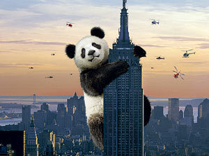 liyichao's profile picture. 天行健，君子以自强不息
地势坤，君子以厚德载物