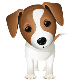 dogblograleigh's profile picture. http://t.co/r2R48ayMJR offers Triangle, NC area pet owners helpful resources, tips and advice. Our site features toy reviews, upcoming Raleigh events and more!