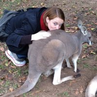 Valerie Vaissier Welborn (@valeriewelborn) 's Twitter Profile