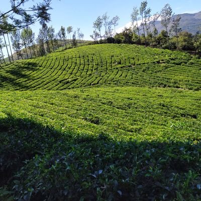 arunnat82590486's profile picture. 