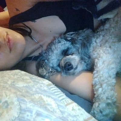 Raul17134457's profile picture. wylly