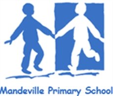 We are the PTA for Mandeville Primary School, St Albans. We volunteer time and energy to enhance the children's well being and learning in and around school.