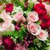 rosebaris (@Rose36543600621) Twitter profile photo