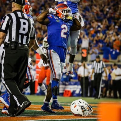 Everything Gators