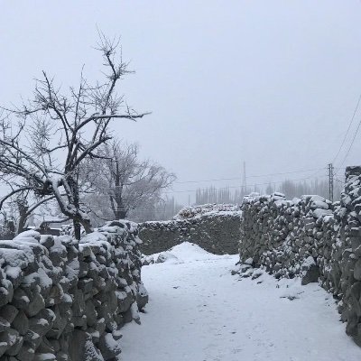 AtiqaJabeen's profile picture. Painter,  Illustrator, photographer