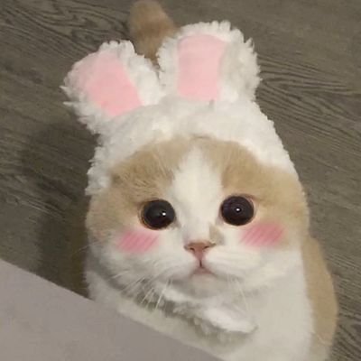 🍒さんのプロフィール画像