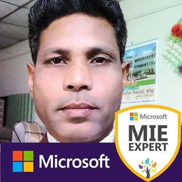 School Teacher, ICT Master Trainer, Head Examiner, MIE Expert