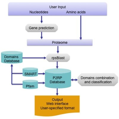 P2RP, a freely web server, is a platform for Prokaryotic Regulatory Proteins prediction including two-component systems (TCSs) and transcription factors (TFs)