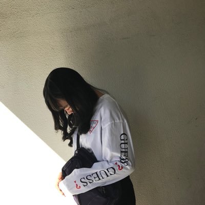 （17）