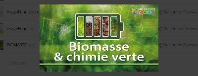 Un MOOC pour vous faire découvrir la biomasse et la chimie verte.