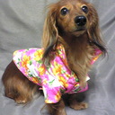 キャンディー - @candy_mac_mami - Twitter