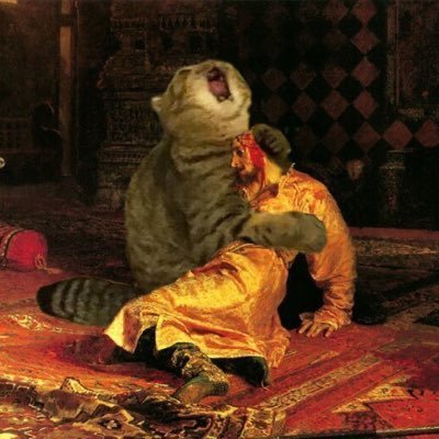 sfP1HcgujiELDGl's profile picture. 