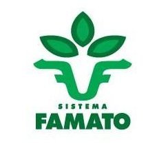 sistemafamato Profile Picture