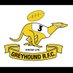 Greyhoundladies rugby team (@Greyhoundladies) Twitter profile photo