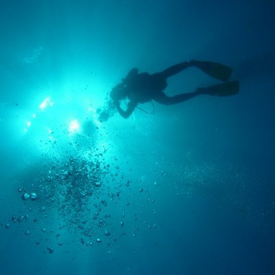 Steve Harding Profile