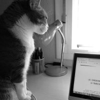 Sandra Morón (@sndramr) 's Twitter Profile